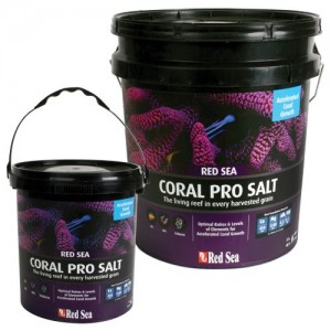 מלח Coral Pro של רד סי 22 ק